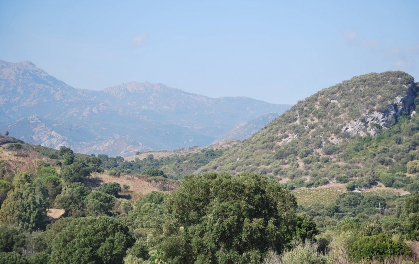 Location de vacances - Appartement à Oletta - vue de la terrasse