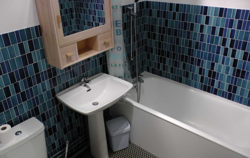 Location de vacances - Studio à Hardelot-Plage - salle de bain avec baignoire munie d'une douche