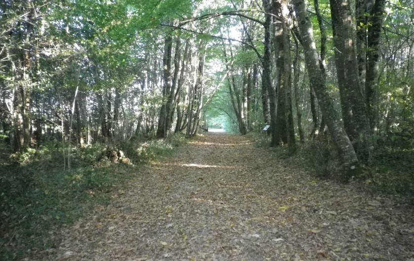 Location de vacances - Gîte à Vanzac - Sentier pédagogique