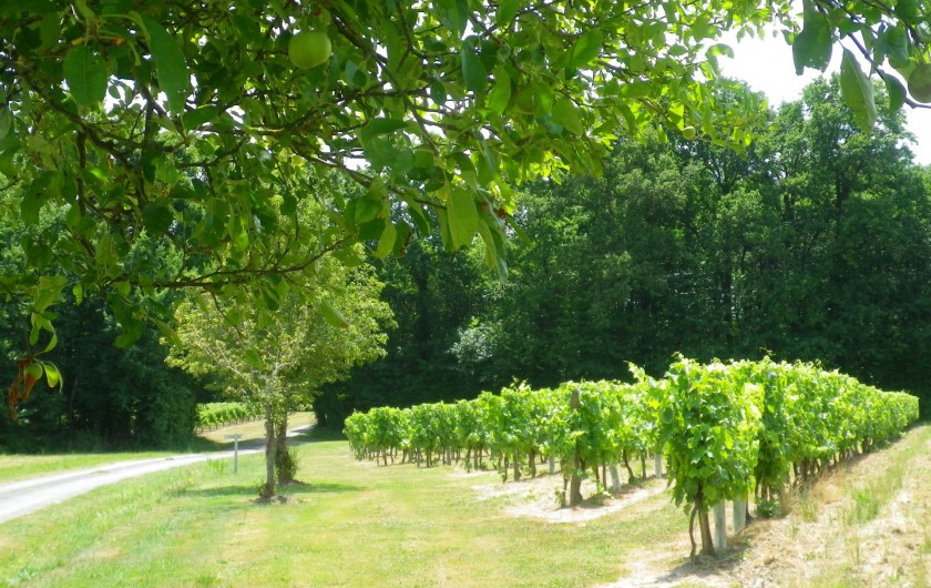 Location de vacances - Gîte à Vanzac - Balades à volontés