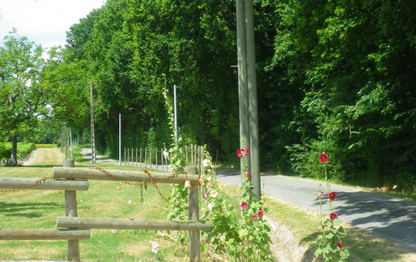 Location de vacances - Gîte à Vanzac - Arrivée depuis les bois