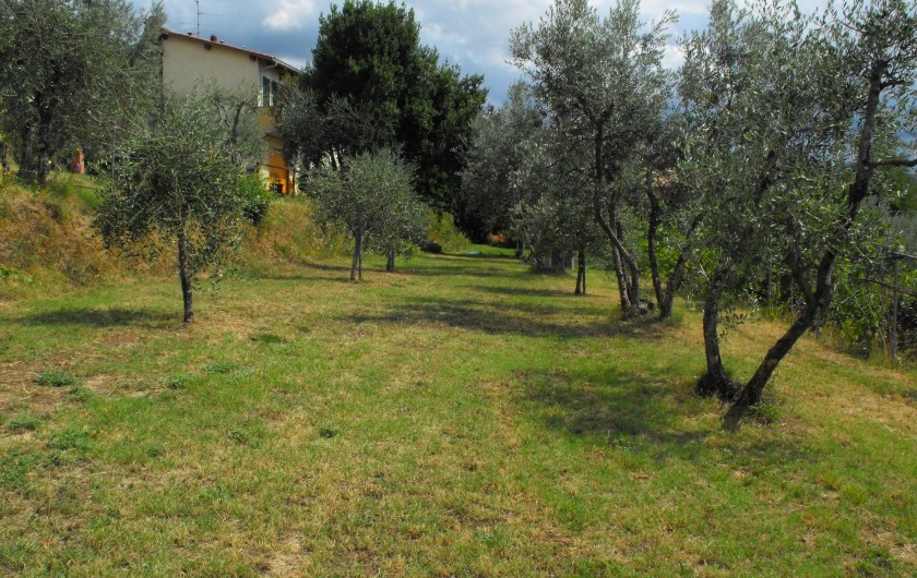 Location de vacances - Appartement à Reggello - Jardin