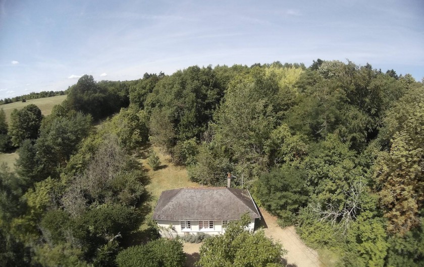 Location de vacances - Gîte à Azay-le-Rideau - en pleine campagne, jardin en partie boisé
