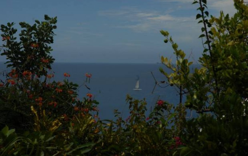 Location de vacances - Appartement à Les Anses-d'Arlet