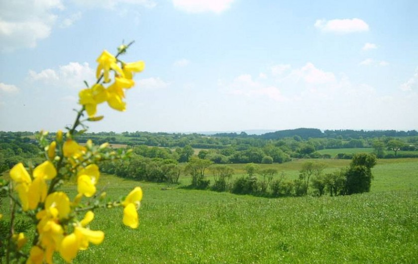 Location de vacances - Gîte à Calanhel - Vue sur les collines de l'Argoat