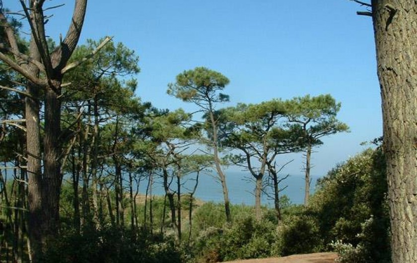 Location de vacances - Bungalow - Mobilhome à Saint-Brevin-les-Pins - Forêt de la Pierre Attelée. Chemin conduisant du mobil-home à la plage