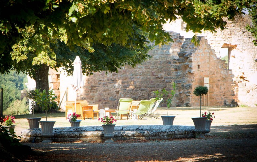 Location de vacances - Château - Manoir à Montreuil-Bonnin - terrasse et transats