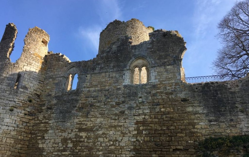 Location de vacances - Château - Manoir à Montreuil-Bonnin - Vue des fossés sur la forteresse