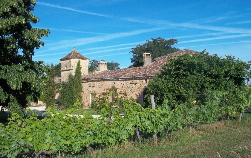 Location de vacances - Gîte à Biron - 8 hectare de nature et les vignes en Bio sur le coteau autour de la propriété