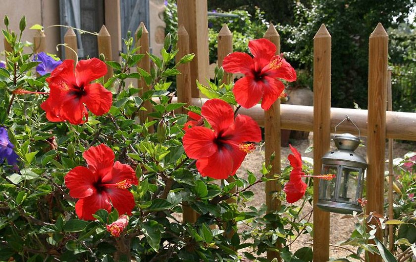Location de vacances - Chambre d'hôtes à Grimaud