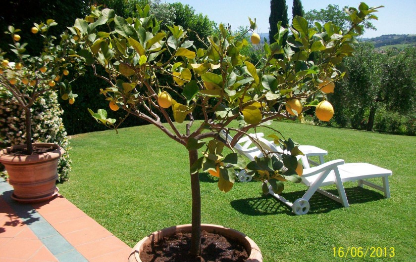 Location de vacances - Appartement à Gambassi Terme