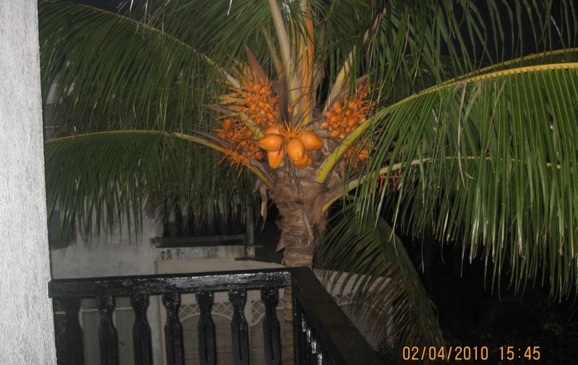 Location de vacances - Villa à Pereybere