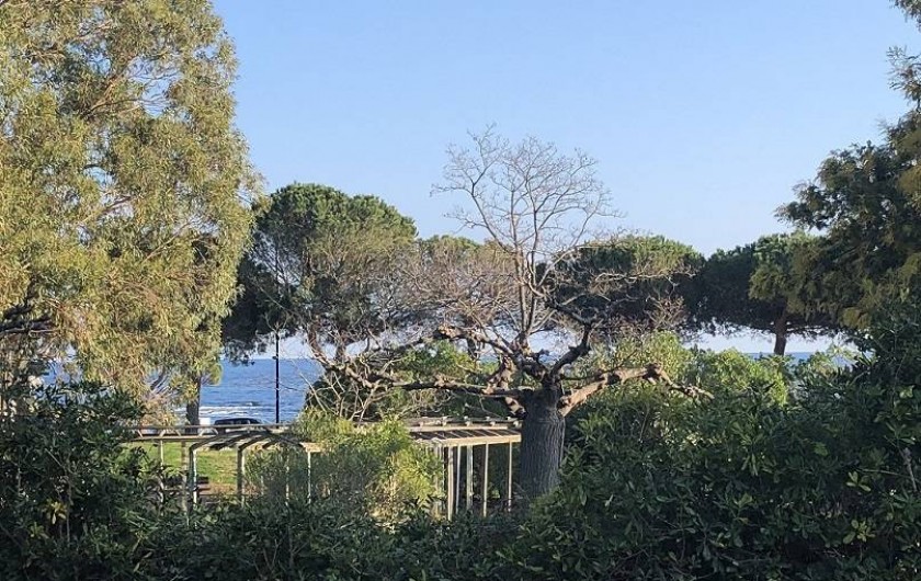 Location de vacances - Appartement à Les Issambres