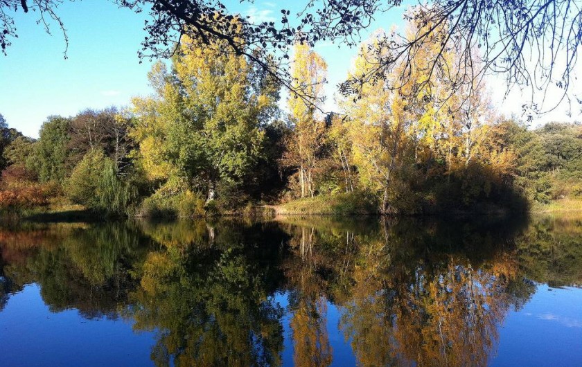 Location de vacances - Gîte à Burgos