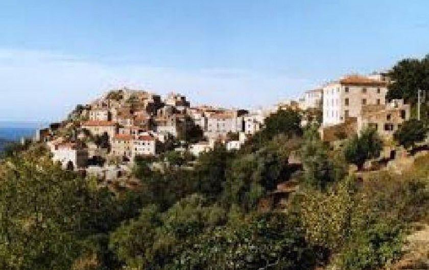 Location de vacances - Villa à Belgodère