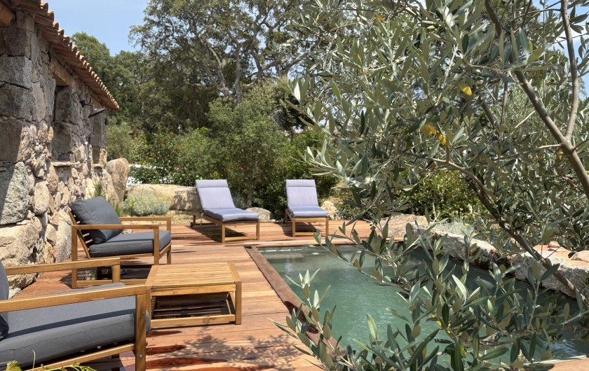 Location de vacances - Villa à Sotta