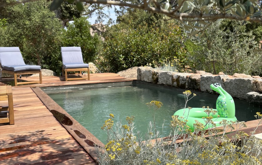 Location de vacances - Villa à Sotta