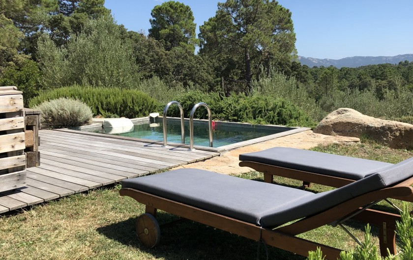 Location de vacances - Villa à Sotta