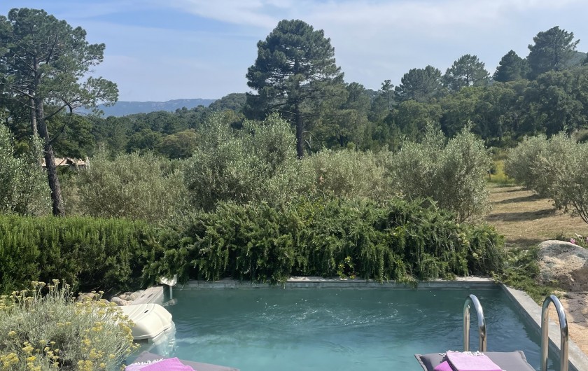 Location de vacances - Villa à Sotta