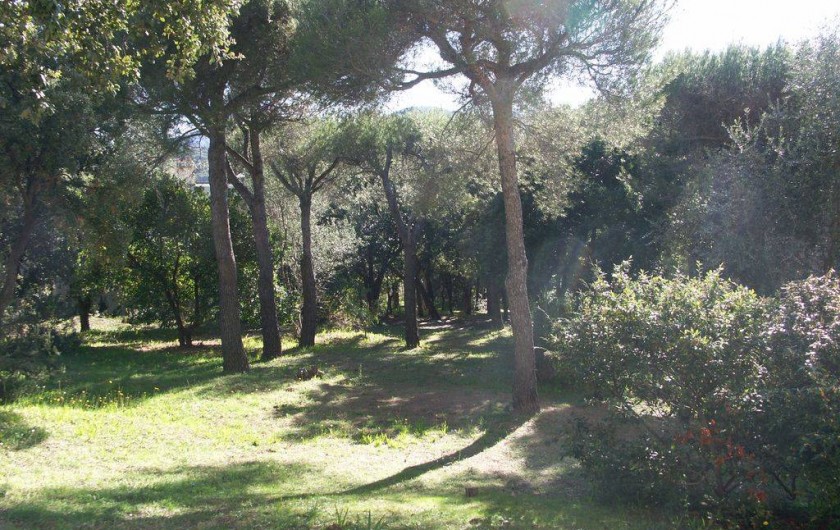 Location de vacances - Appartement à Bormes-les-Mimosas