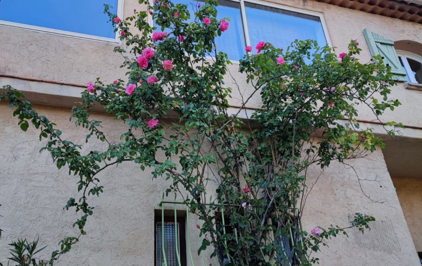 Location de vacances - Villa à Montferrat