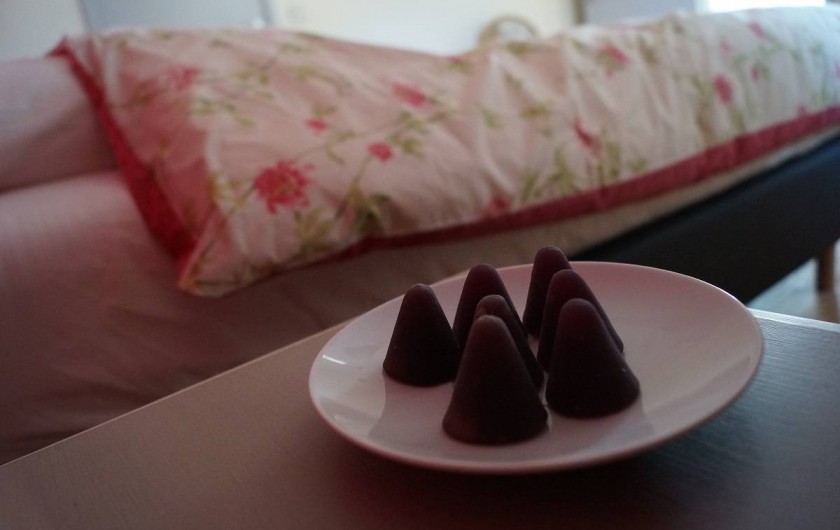 Location de vacances - Gîte à Avin