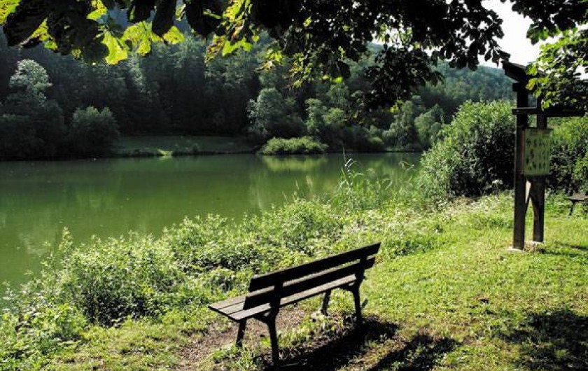 Location de vacances - Camping à Seppois-le-Bas