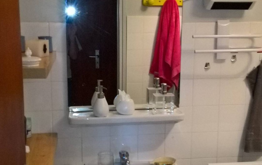 Location de vacances - Appartement à Le Grau-du-Roi - Salle d'eau: lavabo