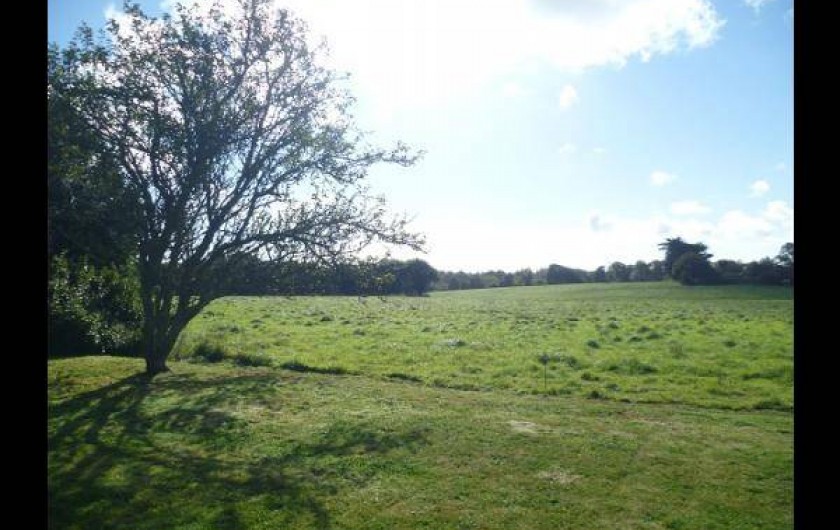 Location de vacances - Maison - Villa à Plonéour-Lanvern