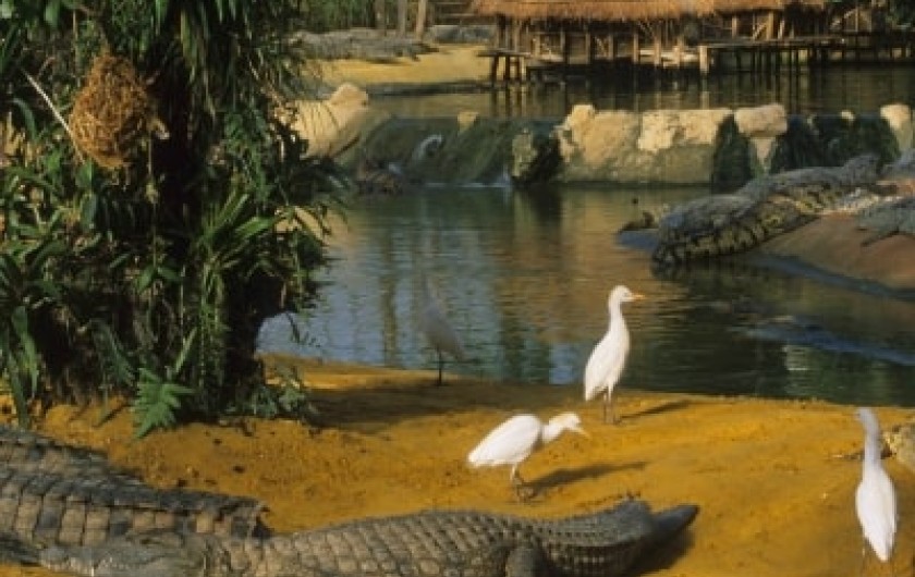 Location de vacances - Mas à Chantemerle-lès-Grignan - la Ferme aux Crocodiles