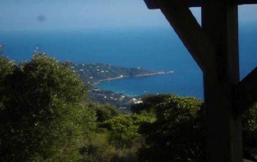 Location de vacances - Mas à Le Lavandou