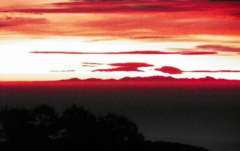 Location de vacances - Mas à Le Lavandou