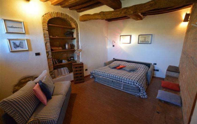 Location de vacances - Appartement à Radicondoli - LIVING ROOM  WITH  BED SOFA'