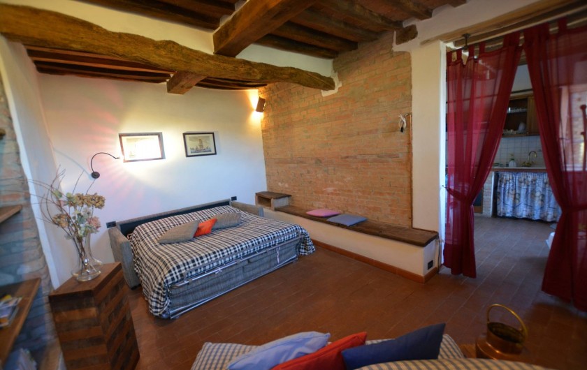 Location de vacances - Appartement à Radicondoli - LIVING ROOM  WITH  BED SOFA'