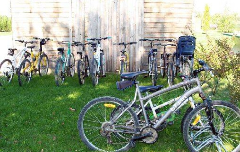 Location de vacances - Chalet à Belvès