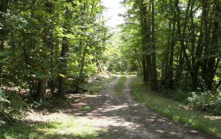 Location de vacances - Chalet à Belvès