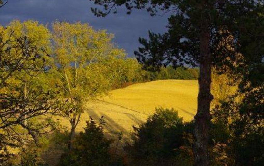 Location de vacances - Gîte à Vic-Fezensac