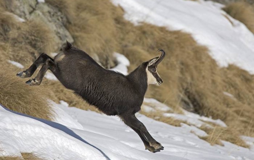 Location de vacances - Appartement à Bernex