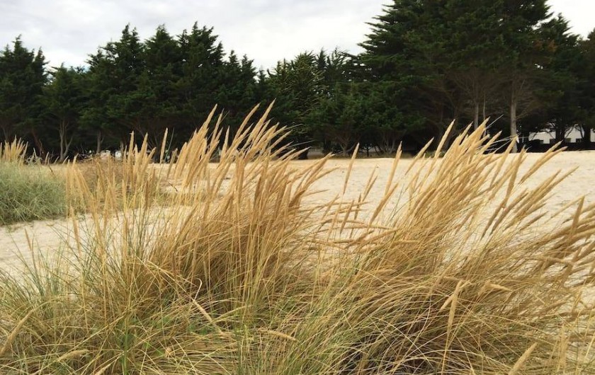 Location de vacances - Villa à Île-Tudy