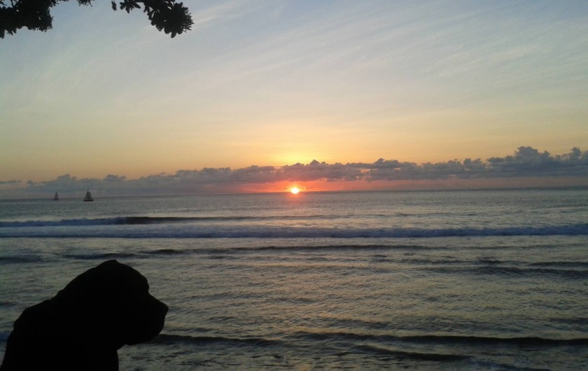 Location de vacances - Appartement à Saint-Gilles les Bains