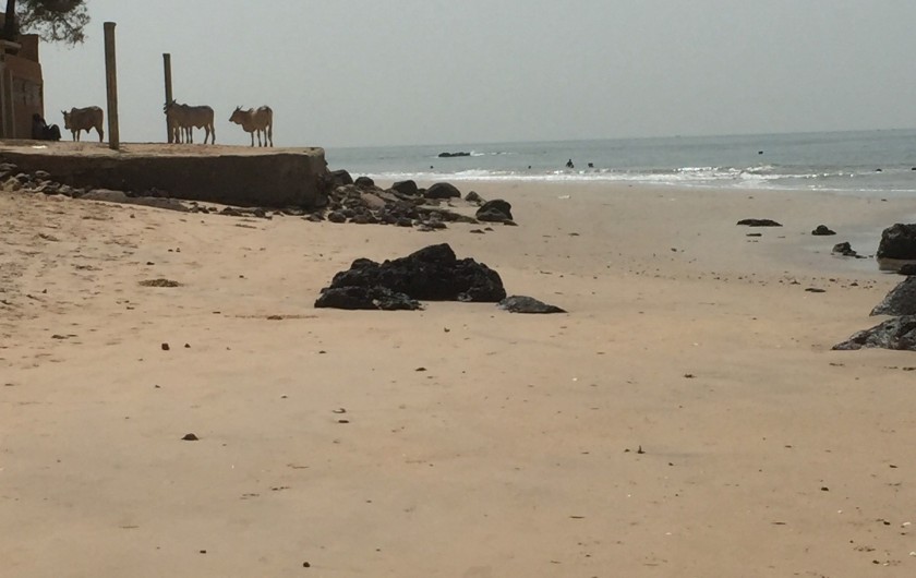 Location de vacances - Villa à Somone - la plage et ses touristes