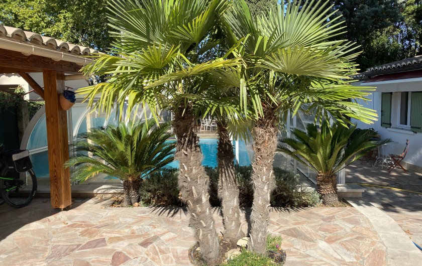 Location de vacances - Villa à Uzès - Cour piscine
