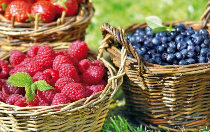 Location de vacances - Maison - Villa à Craponne-sur-Arzon