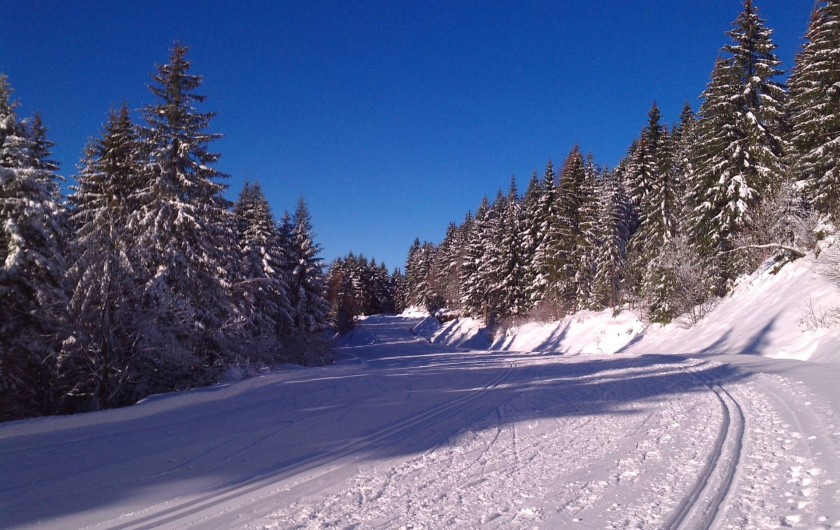 Location de vacances - Appartement à Gérardmer - pistes de ski de fond