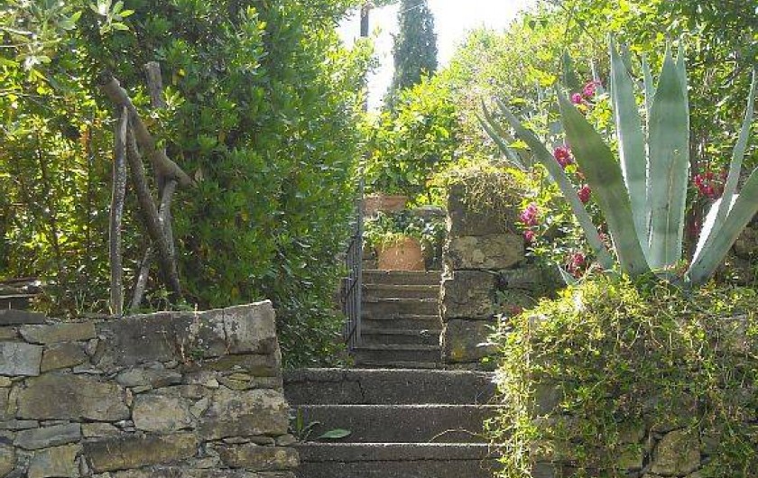 Location de vacances - Maison - Villa à Santa Margherita Ligure