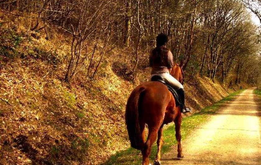 Location de vacances - Gîte à Lohuec