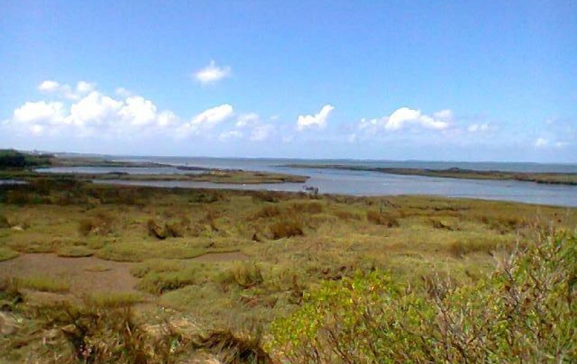 Location de vacances - Villa à Gujan-Mestras - les prés salés