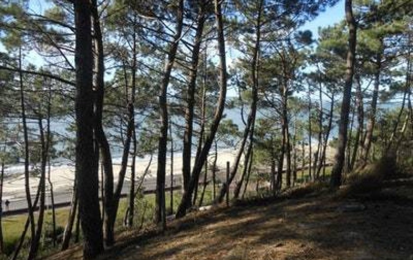 Location de vacances - Villa à Gujan-Mestras - les pinèdes landaises  en bordure d'océan