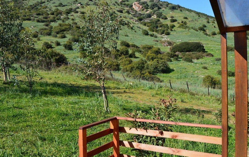 Location de vacances - Chalet à Appietto