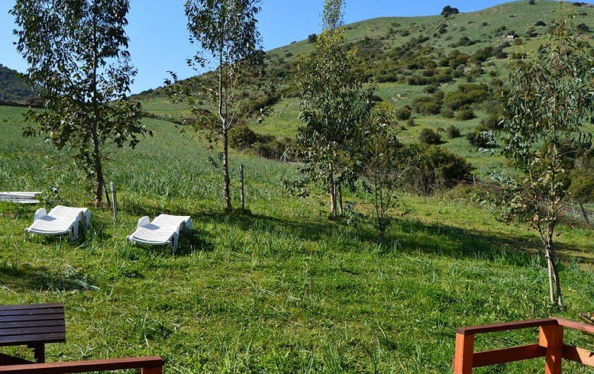 Location de vacances - Chalet à Appietto